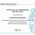 Ingrandire l'immagine: certificate 41