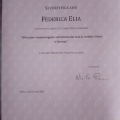 Ingrandire l'immagine: certificate 7