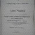 Ingrandire l'immagine: certificate 13