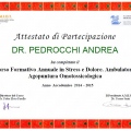 Ingrandire l'immagine: certificate 2
