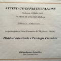 Ingrandire l'immagine: certificate 4