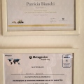 Ingrandire l'immagine: certificate 11