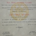 Ingrandire l'immagine: certificate 2