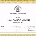 Ingrandire l'immagine: certificate 14