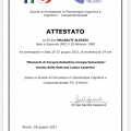 Ingrandire l'immagine: certificate 13
