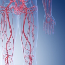 Ingrandire l'immagine: Antonio Nesci, angiologo Roma