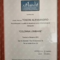 Ingrandire l'immagine: certificate 2