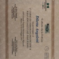 Ingrandire l'immagine: certificate 2