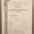 Ingrandire l'immagine: certificate 1