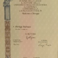 Ingrandire l'immagine: certificate 1