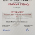 Ingrandire l'immagine: certificate 9