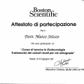 Ingrandire l'immagine: certificate 8