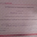Ingrandire l'immagine: certificate 11