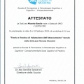 Ingrandire l'immagine: certificate 1