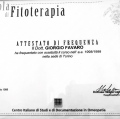 Ingrandire l'immagine: certificate 5