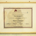 Ingrandire l'immagine: certificate 1