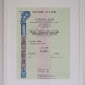 Ingrandire l'immagine: certificate 1