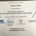 Ingrandire l'immagine: certificate 2
