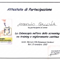 Ingrandire l'immagine: certificate 20