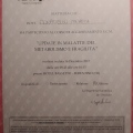 Ingrandire l'immagine: certificate 6