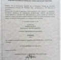 Ingrandire l'immagine: certificate 19