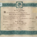 Ingrandire l'immagine: certificate 1