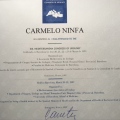 Ingrandire l'immagine: certificate 4
