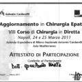Ingrandire l'immagine: certificate 7
