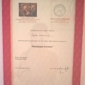 Ingrandire l'immagine: certificate 5