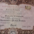 Ingrandire l'immagine: certificate 10