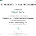 Ingrandire l'immagine: certificate 2