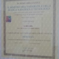 Ingrandire l'immagine: certificate 2