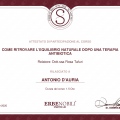 Ingrandire l'immagine: certificate 1