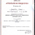Ingrandire l'immagine: certificate 2
