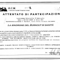 Ingrandire l'immagine: certificate 3