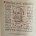Ingrandire l'immagine: certificate 3