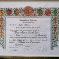 Ingrandire l'immagine: certificate 1