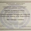 Ingrandire l'immagine: certificate 6