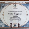 Ingrandire l'immagine: certificate 1