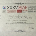 Ingrandire l'immagine: certificate 1