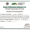 Ingrandire l'immagine: certificate 8