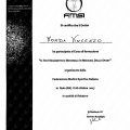 Ingrandire l'immagine: certificate 4