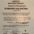 Ingrandire l'immagine: certificate 1