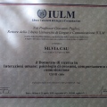 Ingrandire l'immagine: certificate 1