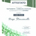 Ingrandire l'immagine: certificate 7
