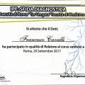 Ingrandire l'immagine: certificate 29