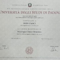 Ingrandire l'immagine: certificate 5