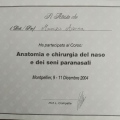 Ingrandire l'immagine: certificate 13