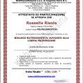 Ingrandire l'immagine: certificate 1