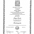 Ingrandire l'immagine: certificate 1